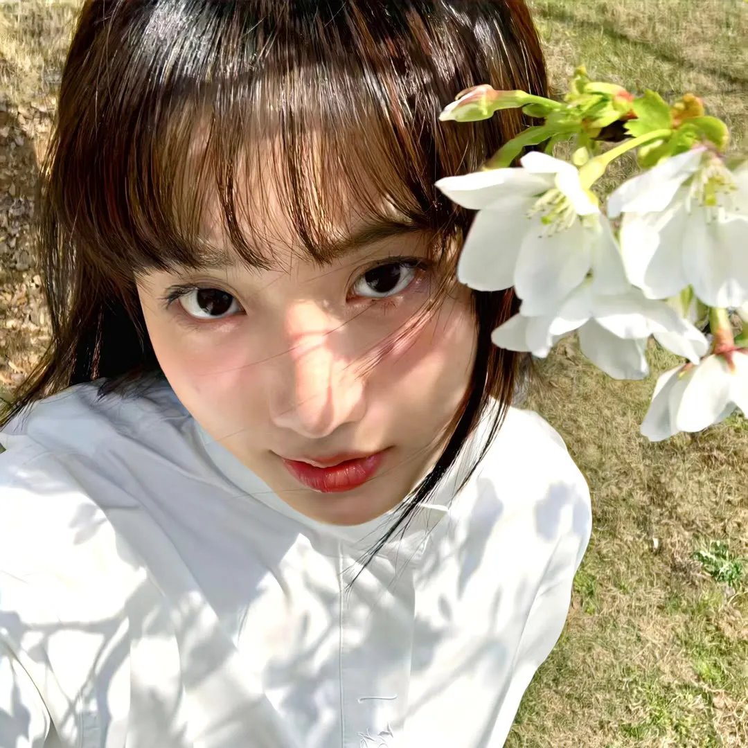 花儿与少年·丝路季